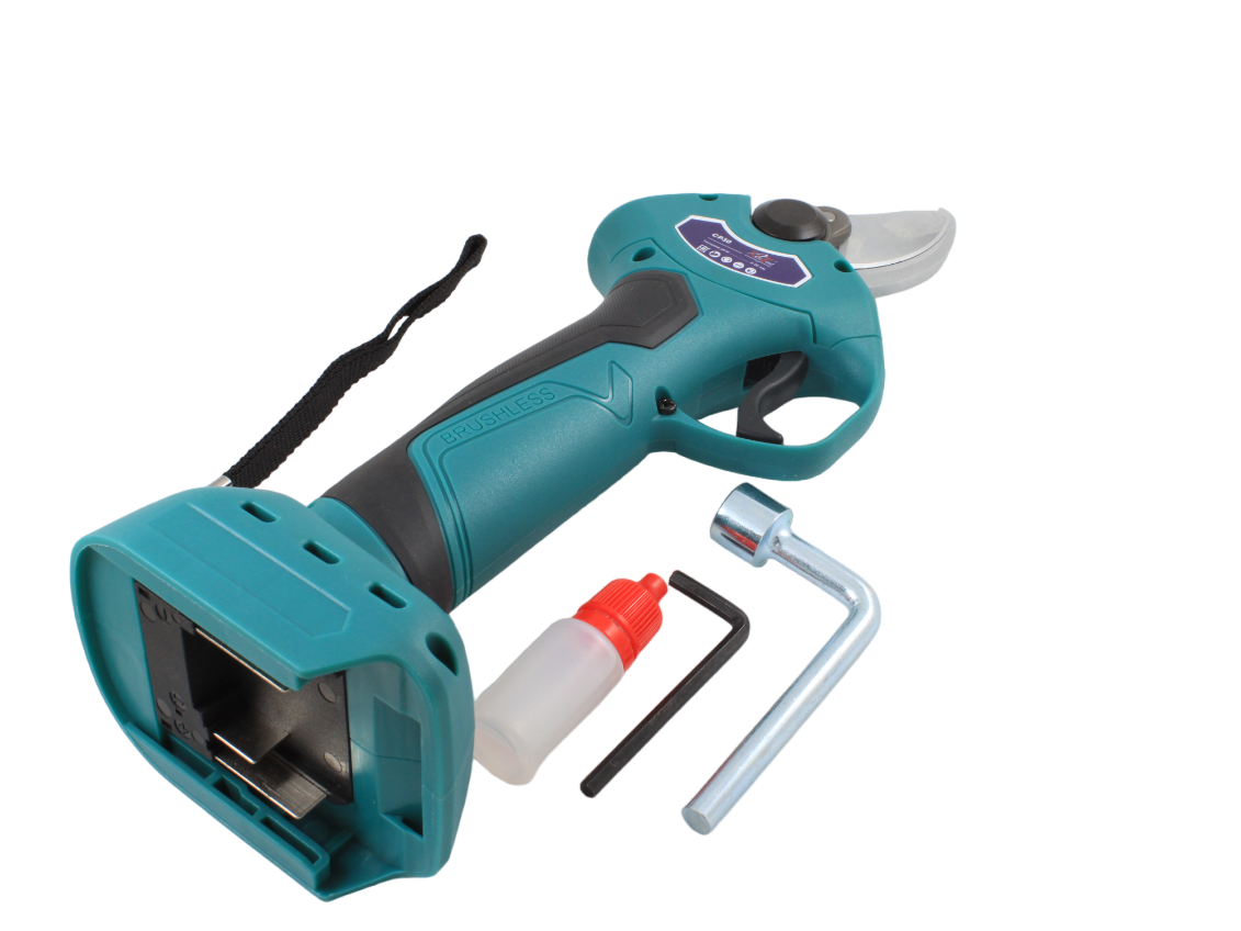 IMG_0670-PhotoRoom.png-PhotoRoom IMG_0670-PhotoRoom.png-PhotoRoom